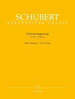 Schwanengesang D 957 / D 965 A, Gesang und Klavier, tief