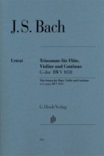 Bach, Johann Sebastian - Triosonate G-dur BWV 1038 für Flöte, Violine und Continuo
