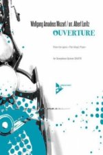 Ouverture aus der 