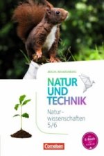 Natur und Technik - Naturwissenschaften: Neubearbeitung - Berlin/Brandenburg - 5./6. Schuljahr: Naturwissenschaften