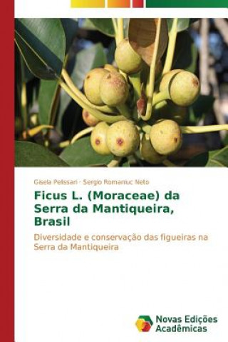 Ficus L. (Moraceae) da Serra da Mantiqueira, Brasil