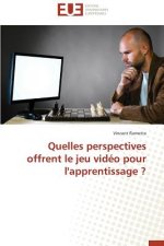 Quelles Perspectives Offrent Le Jeu Vid o Pour l'Apprentissage ?