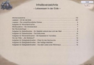 Klasse 4/5, Fit für Fünf, Modul 4: Element Erde