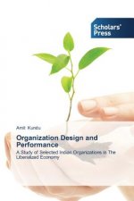 Organization Design and Performance