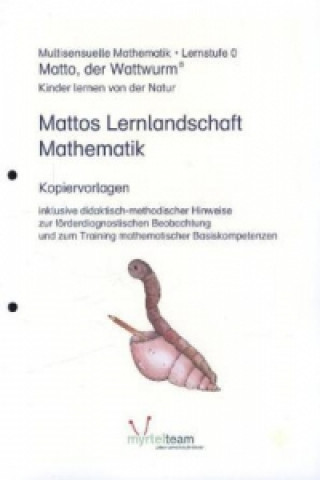 Mattos Lernlandschaft Mathematik (Kopiervorlagen)