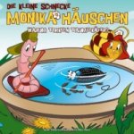 Warum torkeln Taumelkäfer?, 1 Audio-CD, 1 Audio-CD