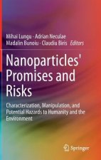 Nanoparticles' Promises and Risks