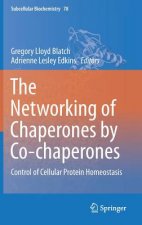 Networking of Chaperones by Co-chaperones