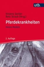 Innere Medizin