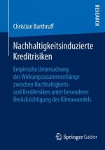 Nachhaltigkeitsinduzierte Kreditrisiken