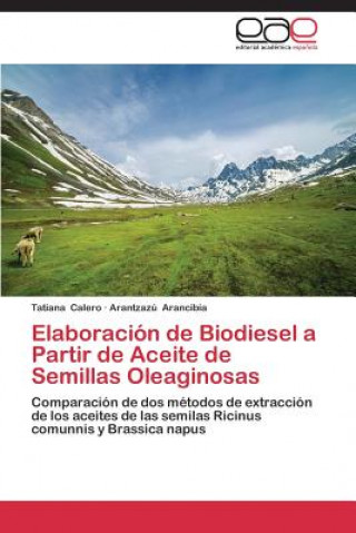 Elaboracion de Biodiesel a Partir de Aceite de Semillas Oleaginosas