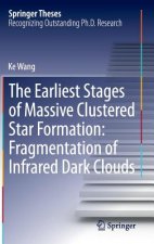 Earliest Stages of Massive Clustered Star Formation: Fragmentation of Infrared Dark Clouds