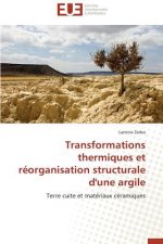Transformations Thermiques Et R organisation Structurale d'Une Argile