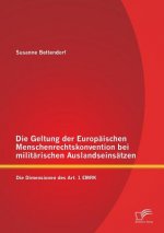 Geltung der Europaischen Menschenrechtskonvention bei militarischen Auslandseinsatzen