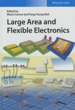 Large Area and Flexible Electronics