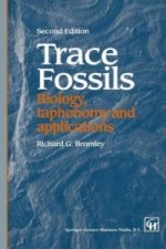 Trace Fossils