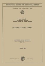Channel Coding Theory