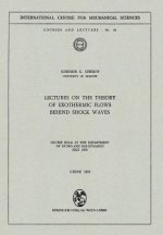 Lectures on the Theory of Exothermic Flows behind Shock Waves