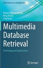 Multimedia Database Retrieval