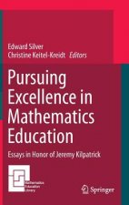 Pursuing Excellence in Mathematics Education