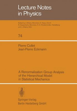 A Renormalization Group Analysis of the Hierarchical Model in Statistical Mechanics