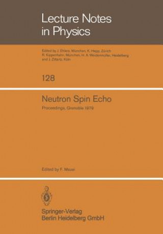 Neutron Spin Echo
