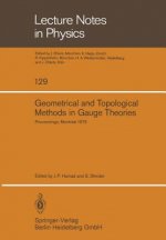 Geometrical and Topological Methods in Gauge Theories