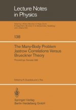 Many-Body Problem. Jastrow Correlations Versus Brueckner Theory