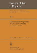 Macroscopic Properties of Disordered Media