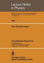 Constrained Dynamics