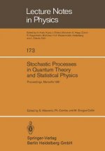 Stochastic Processes in Quantum Theory and Statistical Physics