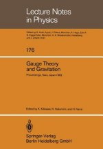 Gauge Theory and Gravitation