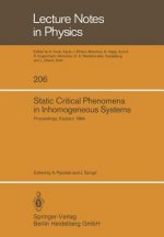 Static Critical Phenomena in Inhomogeneous Systems