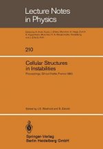 Cellular Structures in Instabilities