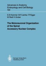 Motoneuronal Organization of the Spinal Accessory Nuclear Complex