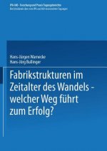 Fabrikstrukturen Im Zeitalter Des Wandels -- Welcher Weg F hrt Zum Erfolg?