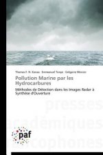 Pollution Marine Par Les Hydrocarbures