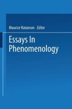 Essays in Phenomenology