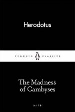 Madness of Cambyses