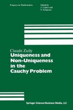 Uniqueness and Non-Uniqueness in the Cauchy Problem