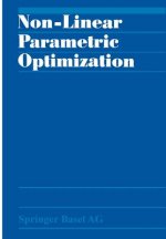 Non-Linear Parametric Optimization