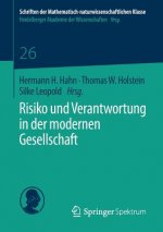 Risiko Und Verantwortung in Der Modernen Gesellschaft
