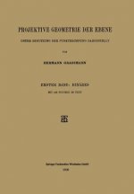 Projektive Geometrie Der Ebene Unter Benutzung Der Punktrechnung Dargestellt