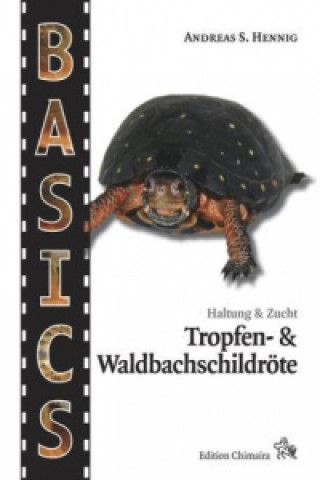 Tropfen- und Waldbachschildkröte