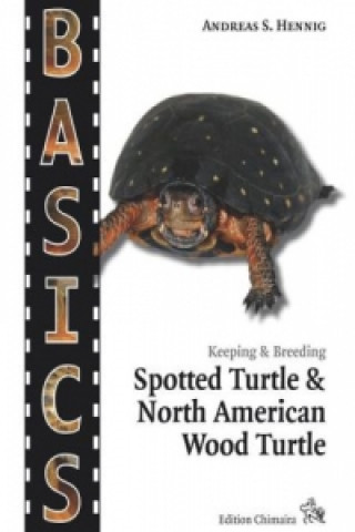 Spotted Turtle and North American Wood Turtle
