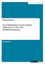 Gallierexkurs Caesars (Bellum Gallicum, VI 11-20). Eine Quellenbearbeitung