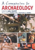 Companion to Archaeology