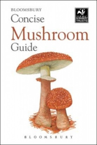 Concise Mushroom Guide