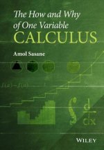 How and Why of One Variable Calculus