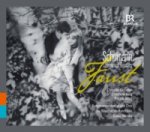 Szenen aus Goethes Faust, 2 Audio-CDs